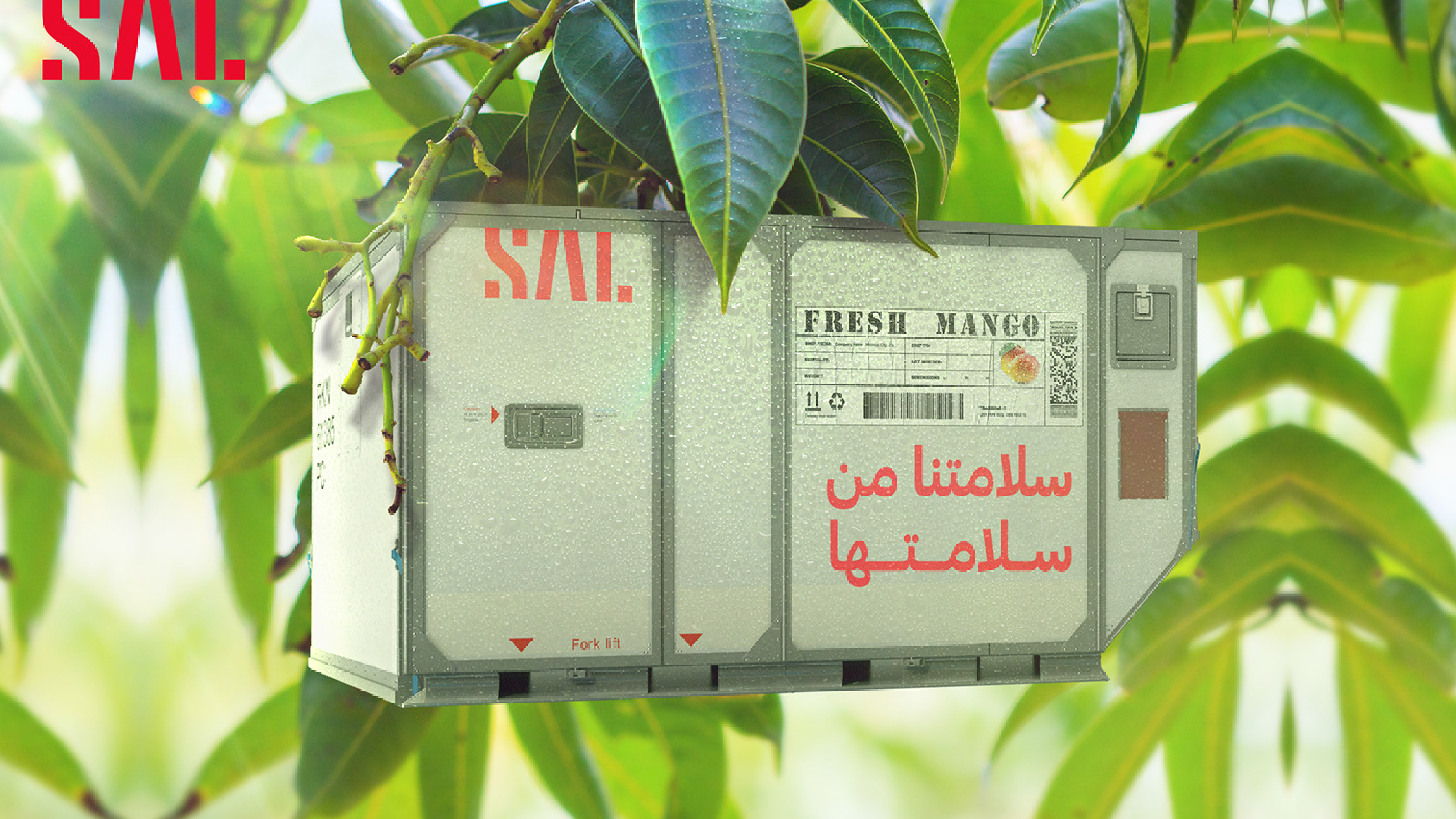 SAL creative social media design