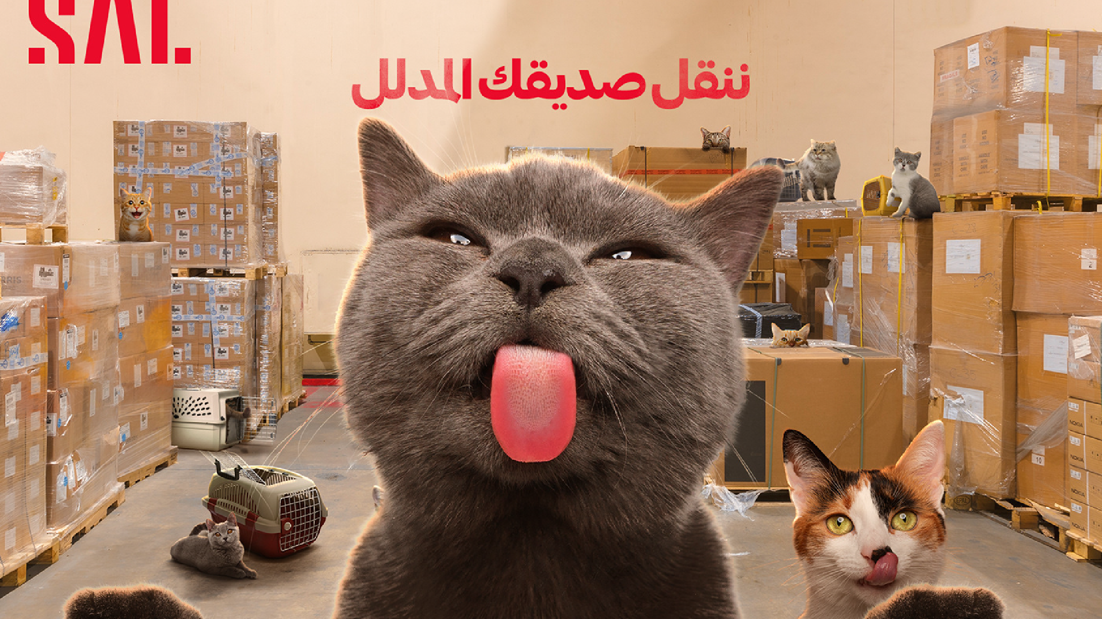 SAL creative social media design