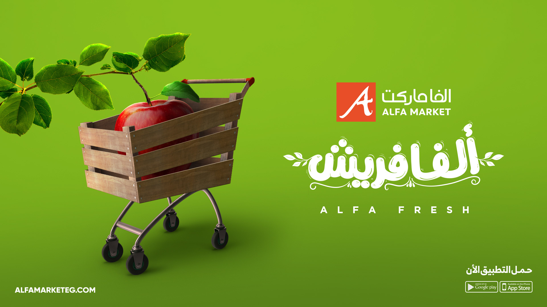 Alfa Supermarket